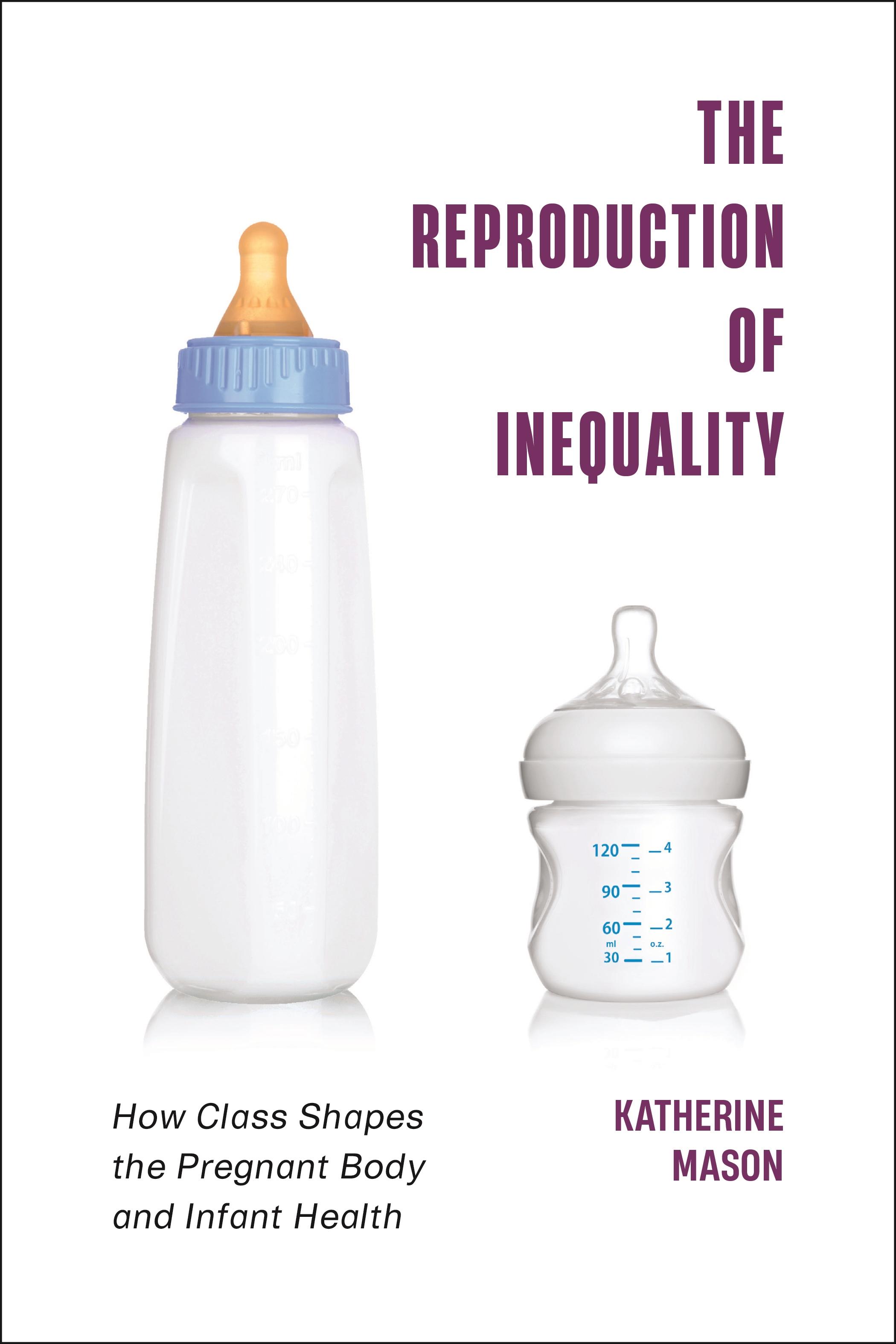 The Reproduction of Inequality