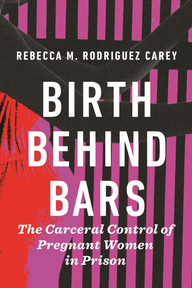 Birth Behind Bars by Rebecca M. Rodriguez Carey