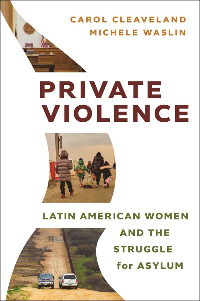 Private Violence by Carol Cleaveland, Michele Waslin