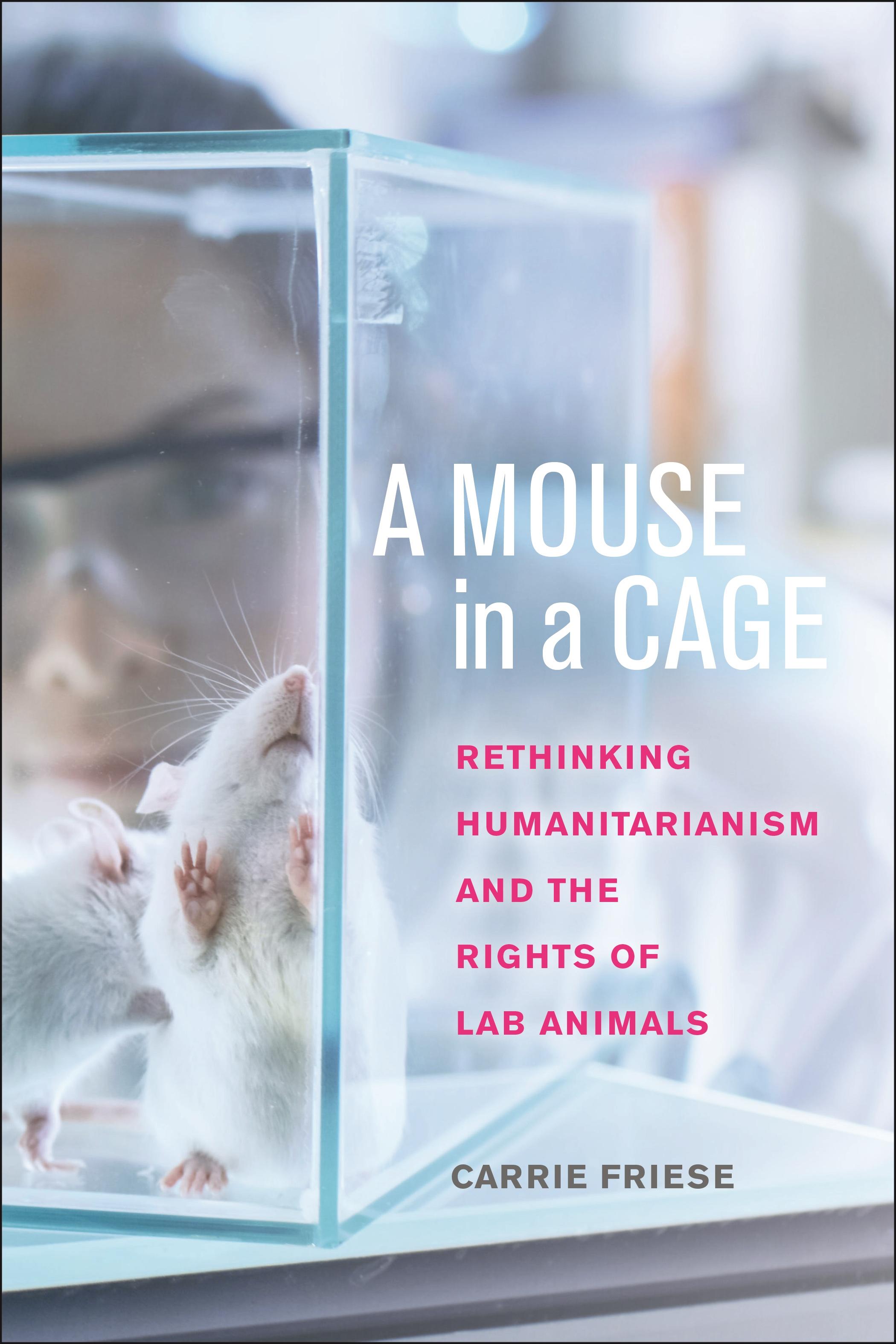 A Mouse in a Cage