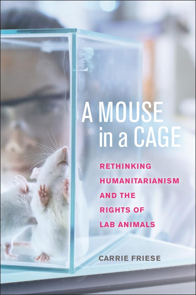 A Mouse in a Cage by Carrie Friese