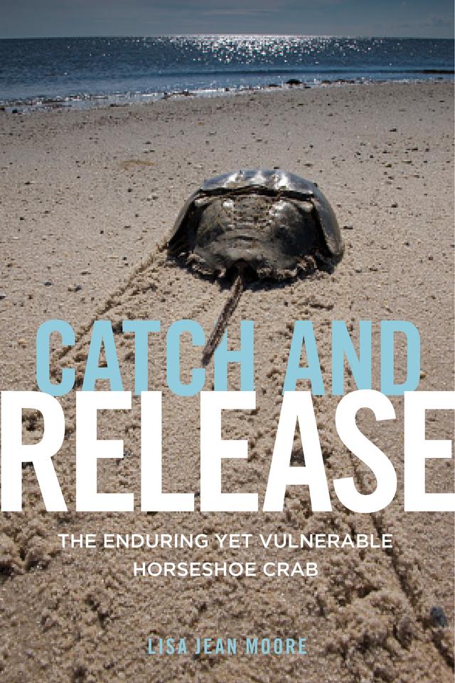 Catch and Release by Lisa Jean Moore