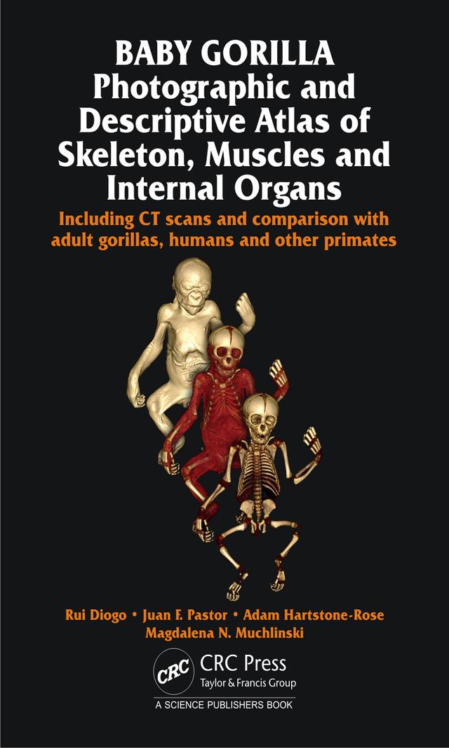 Baby Gorilla by Adam Hartstone-Rose, Juan F. Pastor, Magdalena N. Muchlinski, Rui Diogo