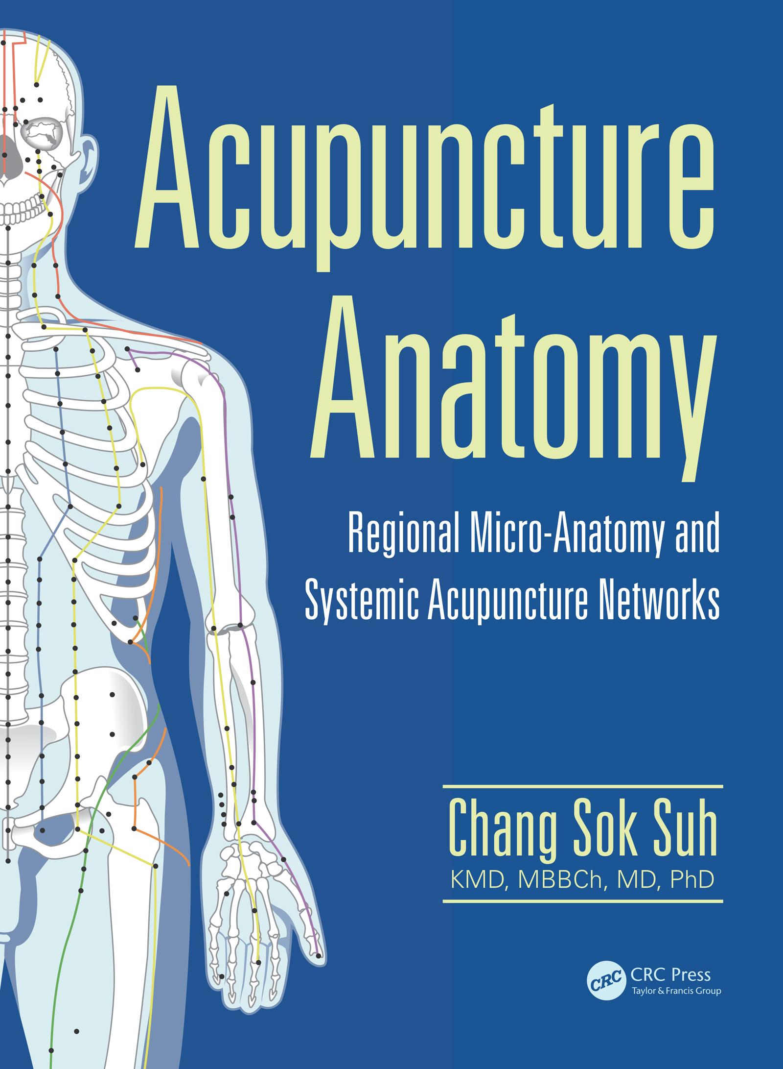 Acupuncture Anatomy