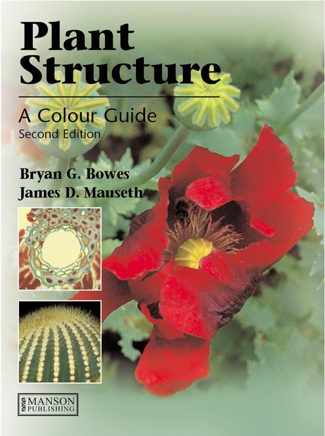 Plant Structure by Bryan G. Bowes, James D. Mauseth