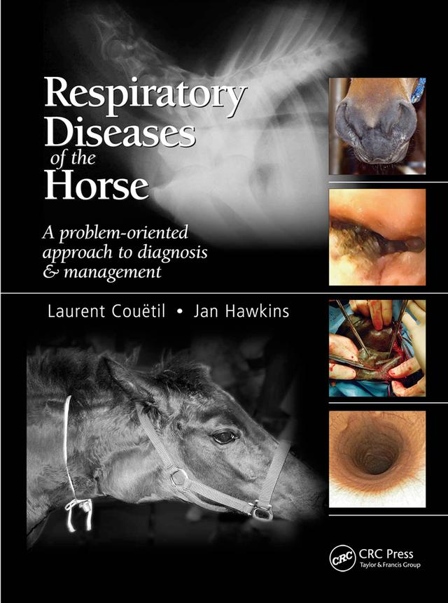 Respiratory Diseases of the Horse by Jan F Hawkins, Laurent Couetil