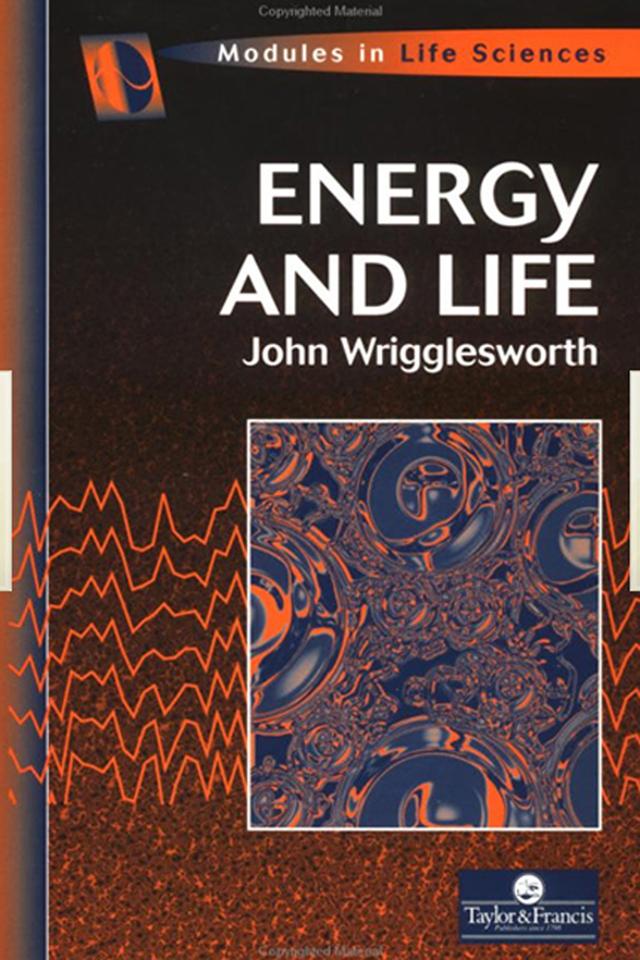 Energy And Life by John Wrigglesworth