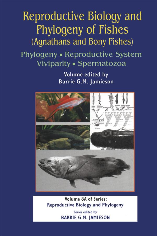 Reproductive Biology and Phylogeny of Fishes (Agnathans and Bony Fishes) by Barrie G M Jamieson