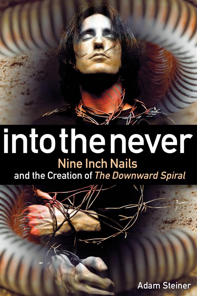 Into The Never by Adam Steiner