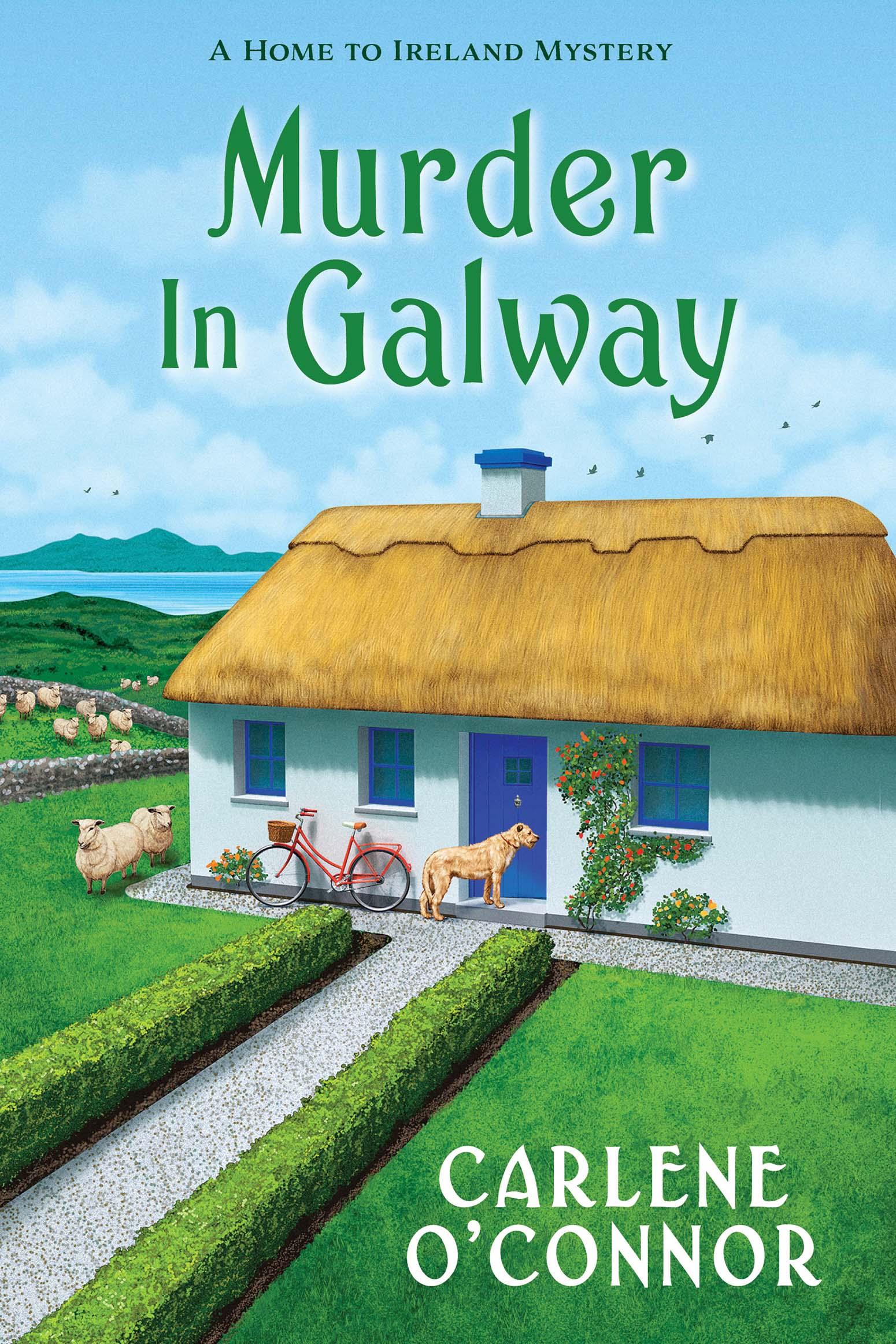 Murder in Galway