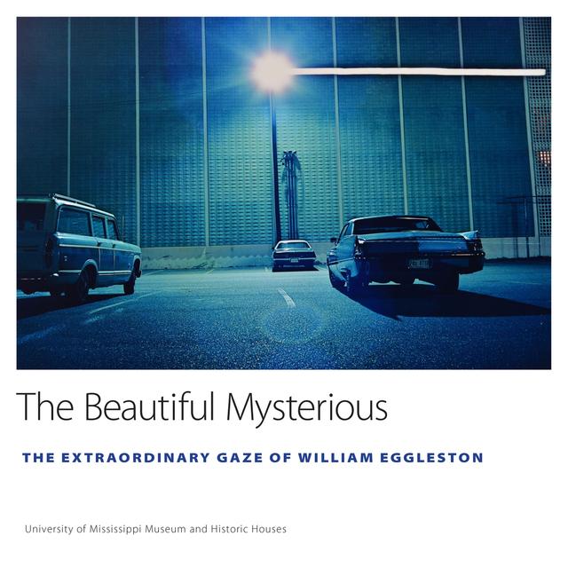 The Beautiful Mysterious by Ann J. Abadie, University of Mississippi Museum and Historic Houses