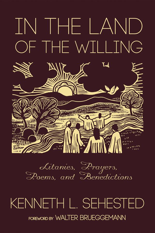 In the Land of the Willing by Kenneth L. Sehested, Walter Brueggemann