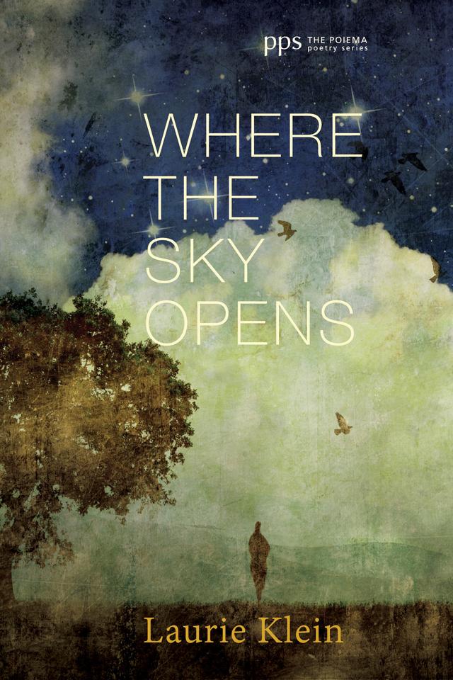 Where the Sky Opens by Laurie Klein