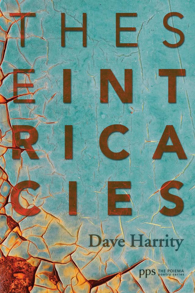 These Intricacies by David Harrity
