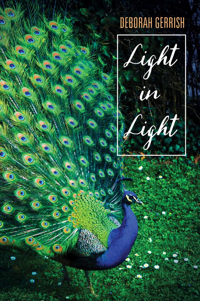 Light in Light by Deborah Gerrish