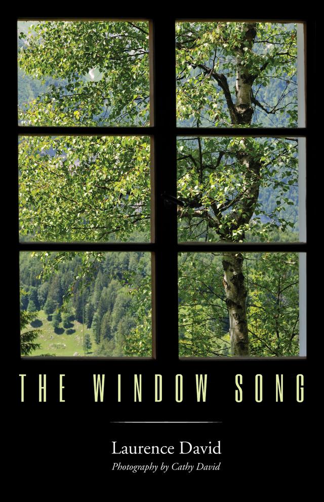 The Window Song by Cathy David, Laurence David