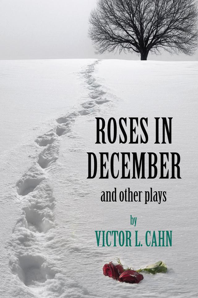 Roses in December by Victor L. Cahn