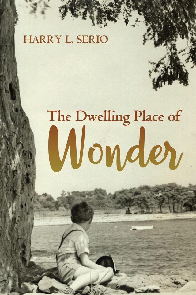 The Dwelling Place of Wonder by Harry L. Serio
