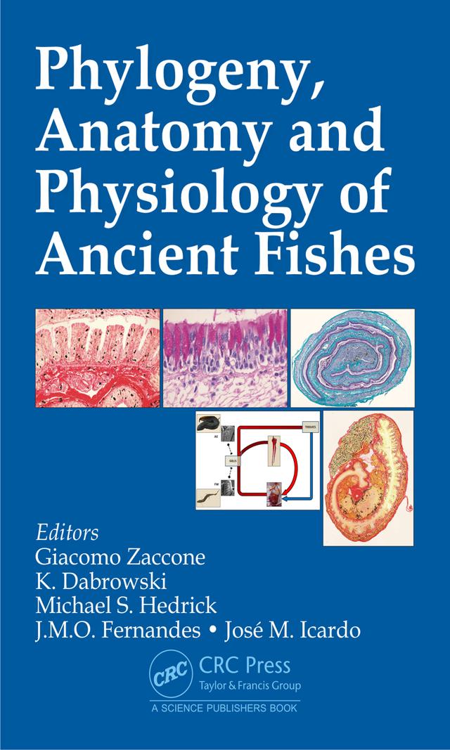 Phylogeny, Anatomy and Physiology of Ancient Fishes by Giacomo Zaccone, Jorge M. O. Fernandes, Jose M. Icardo, Konrad Dabrowski, Michael S. Hedrick