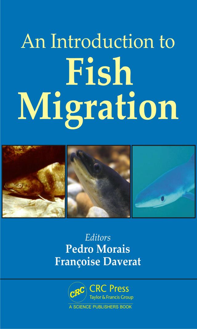 An Introduction to Fish Migration by Francoise Daverat, Pedro Morais