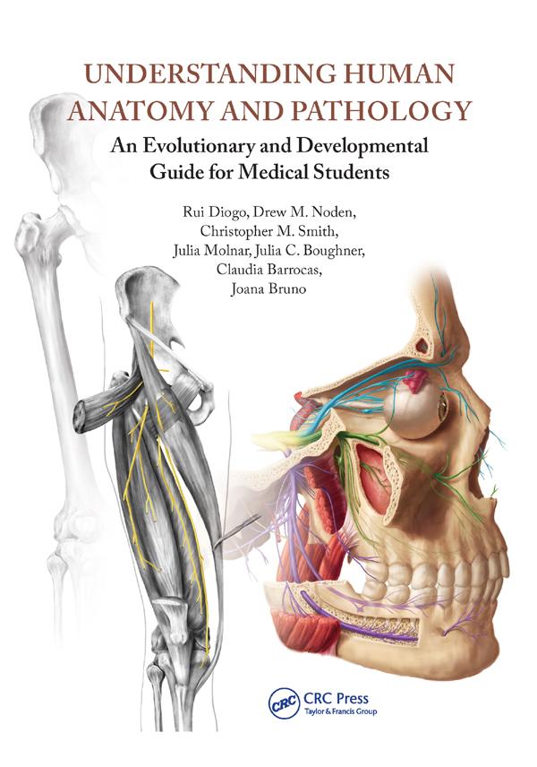Understanding Human Anatomy and Pathology by Rui Diogo