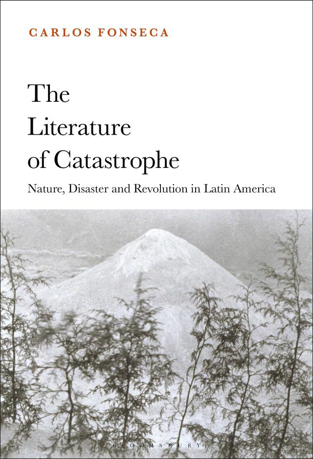 The Literature of Catastrophe by Carlos Fonseca