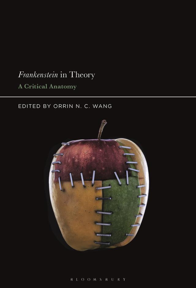 Frankenstein in Theory by Orrin N. C. Wang