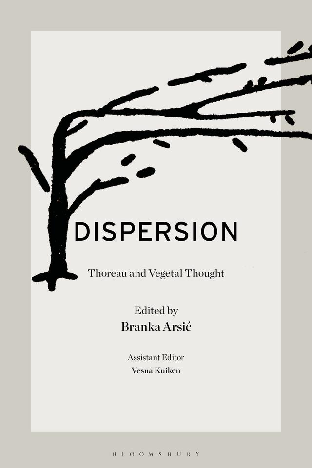 Dispersion by Branka Arsic