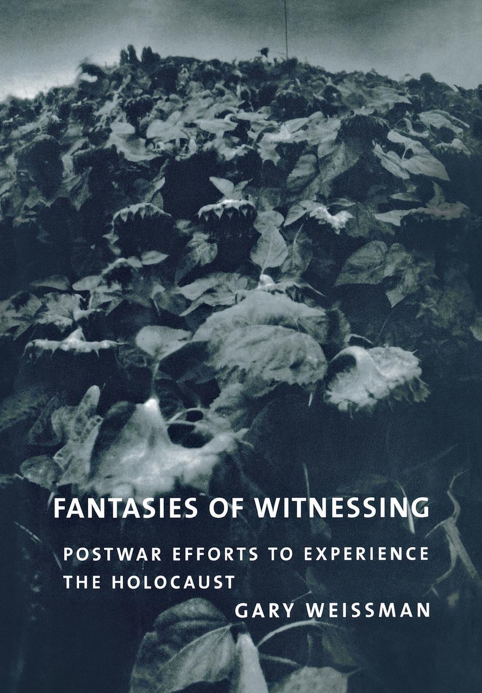Fantasies of Witnessing