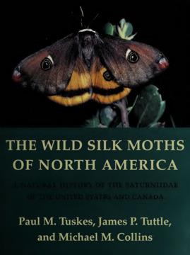 The Wild Silk Moths of North America