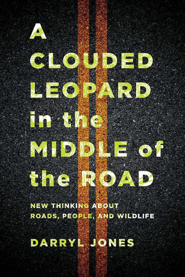 A Clouded Leopard in the Middle of the Road by Darryl Jones