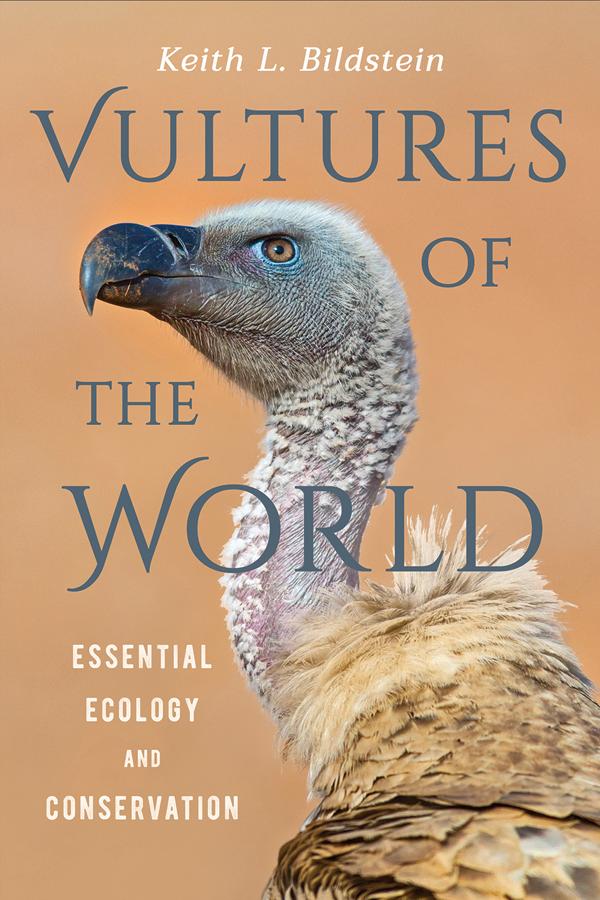 Vultures of the World by Keith L. Bildstein