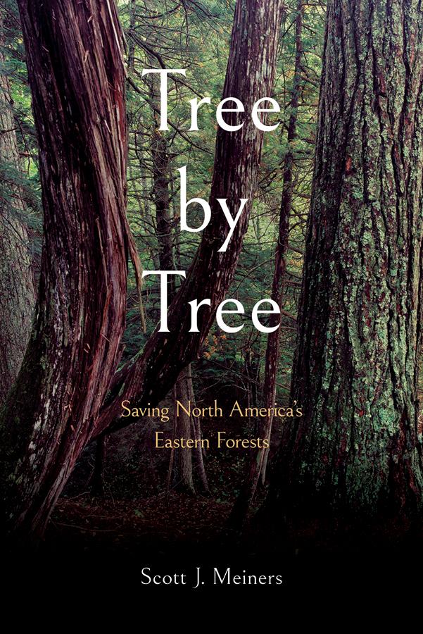 Tree by Tree by Scott J. Meiners
