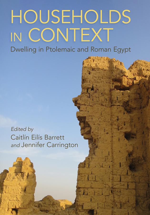 Households in Context by Caitlín Eilís Barrett, Jennifer Carrington