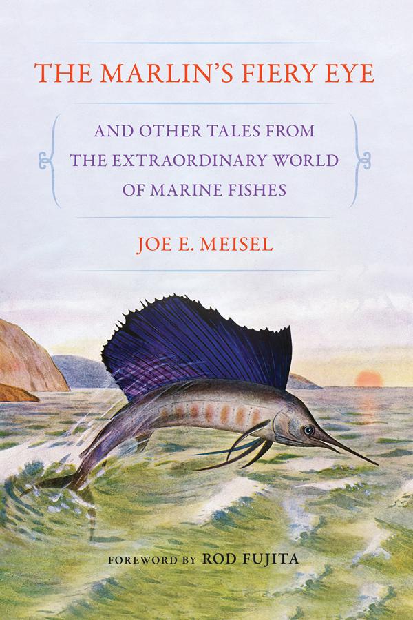 The Marlin's Fiery Eye and Other Tales from the Extraordinary World of Marine Fishes by Joe E. Meisel, Rod Fujita