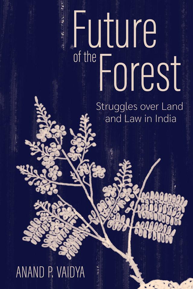Future of the Forest by Anand P. Vaidya