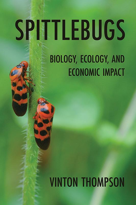 Spittlebugs by Vinton Thompson