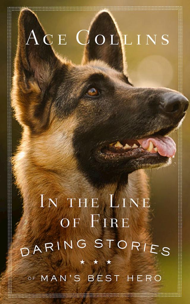 In the Line of Fire by Ace Collins