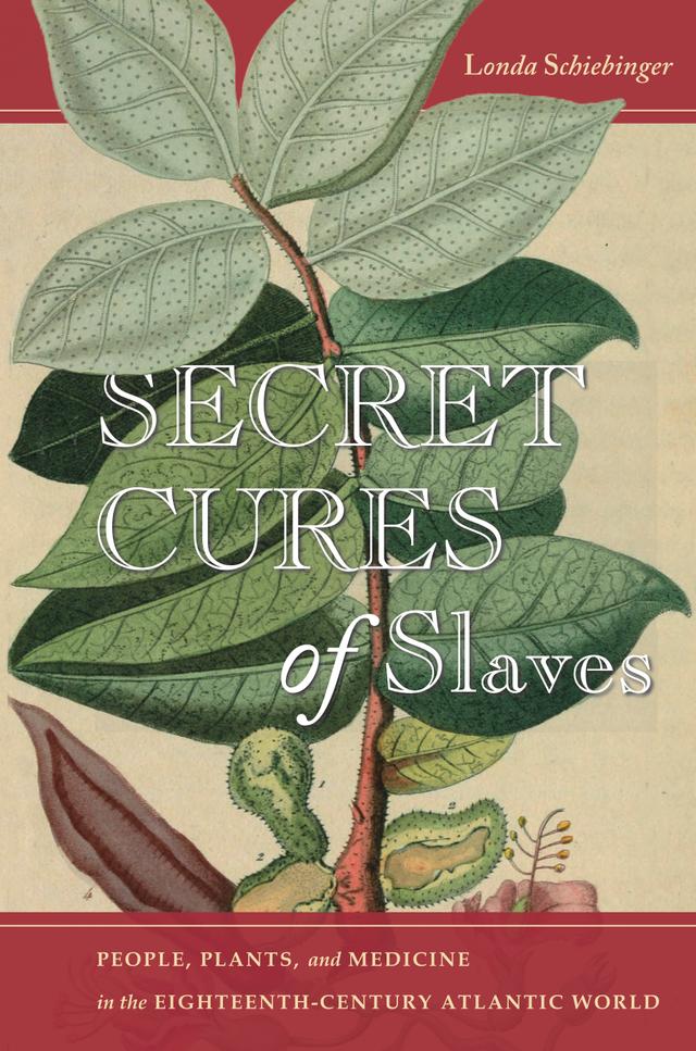 Secret Cures of Slaves by Londa Schiebinger