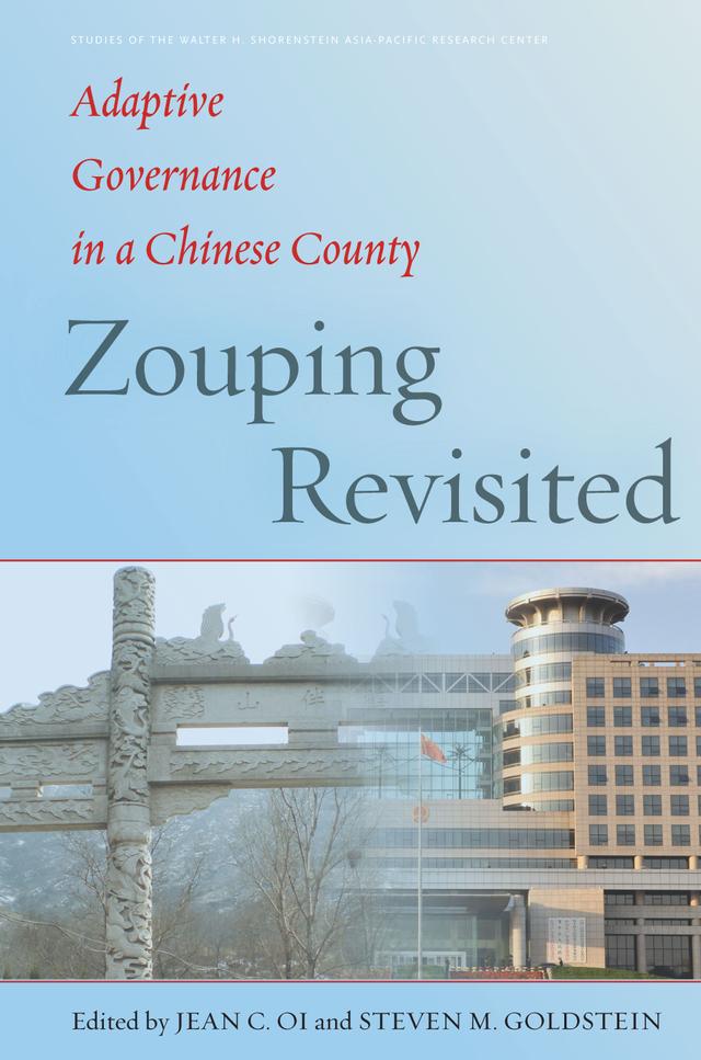 Zouping Revisited by Jean C. Oi, Steven Goldstein
