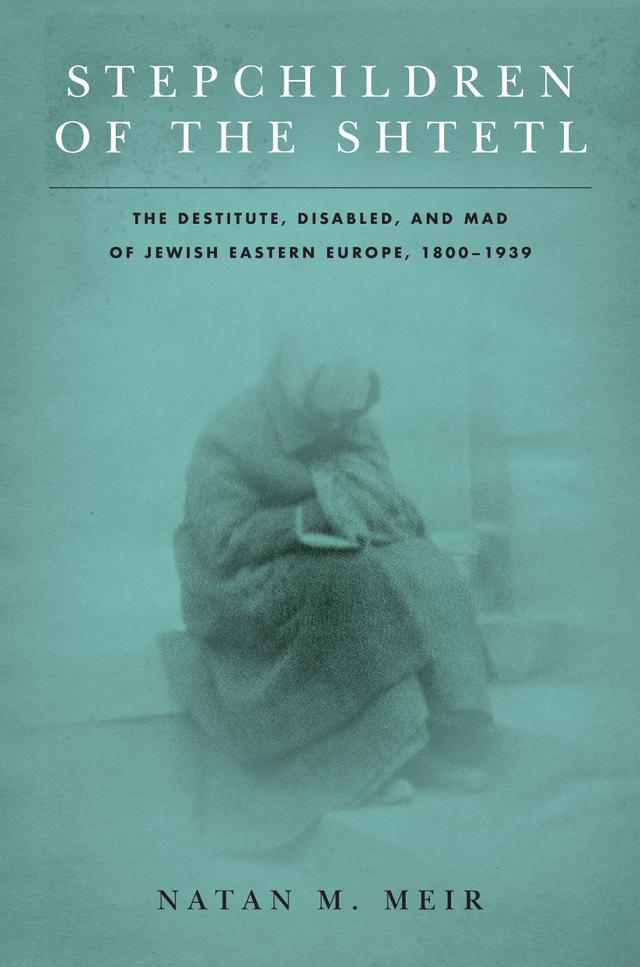 Stepchildren of the Shtetl by Natan M. Meir