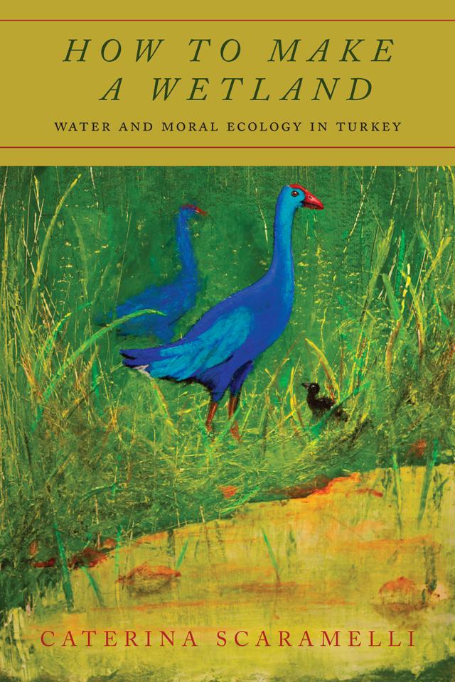 How to Make a Wetland by Caterina Scaramelli