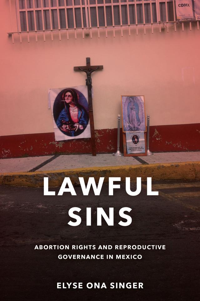 Lawful Sins by Elyse Ona Singer
