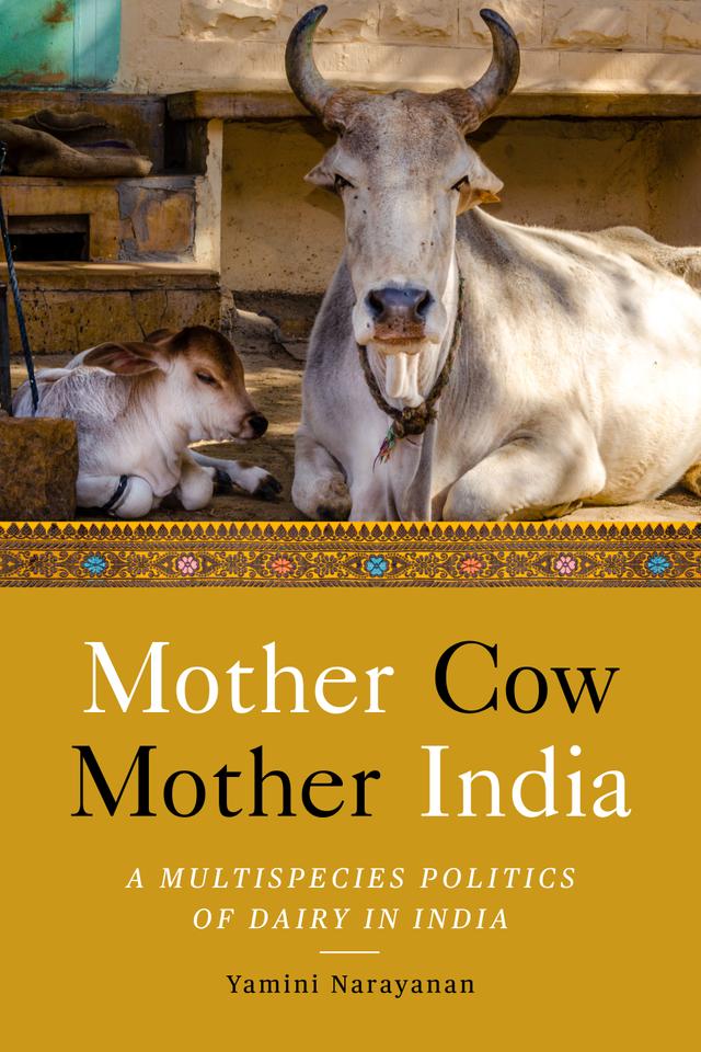 Mother Cow, Mother India by Yamini Narayanan