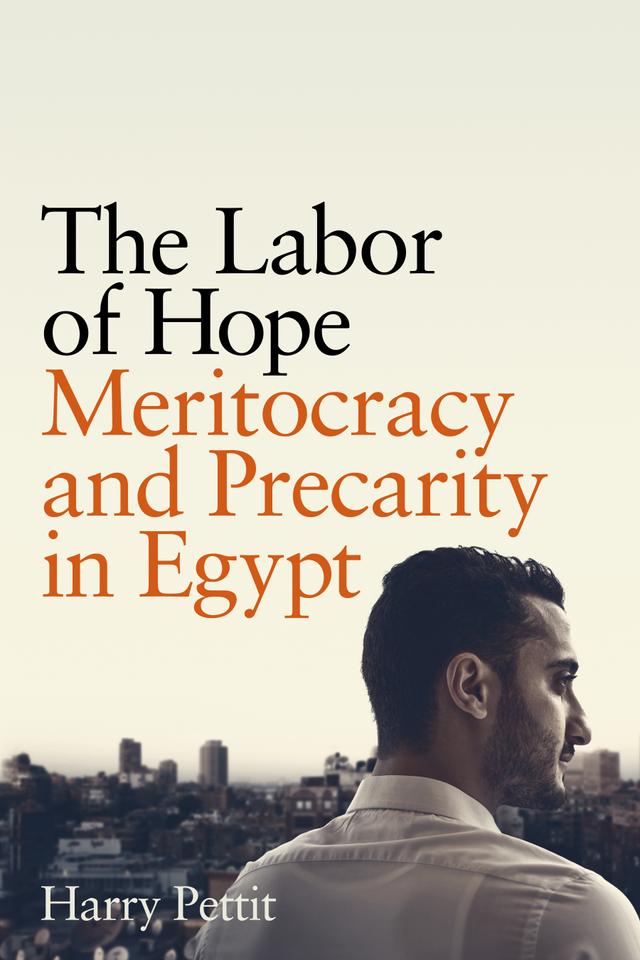 The Labor of Hope by Harry Pettit