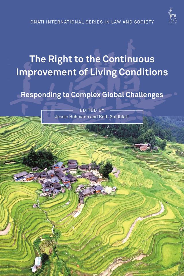The Right to the Continuous Improvement of Living Conditions by Beth Goldblatt, Jessie Hohmann