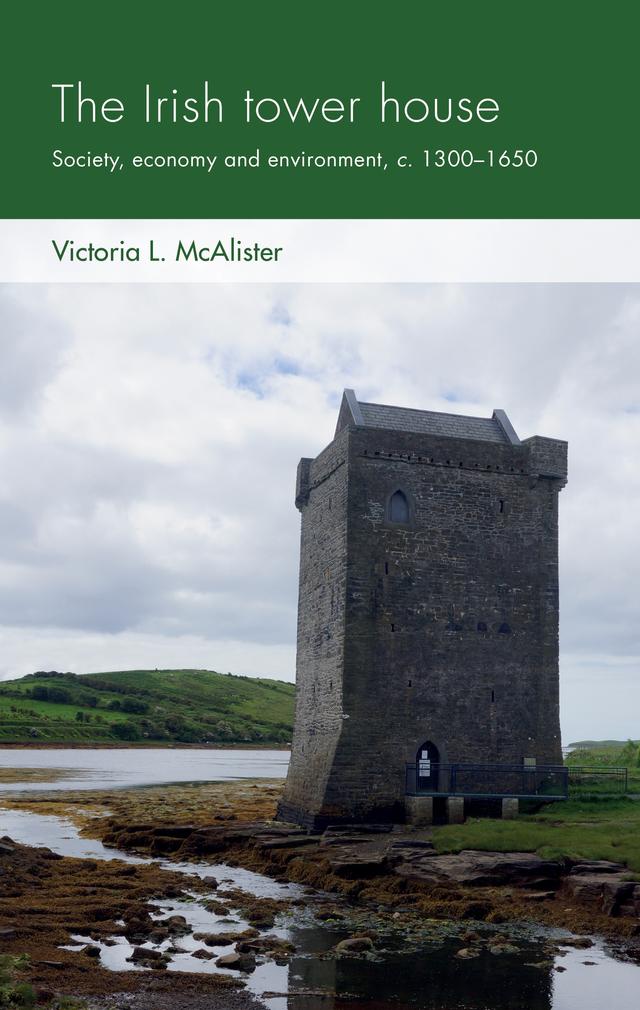 The Irish tower house by Victoria L. McAlister