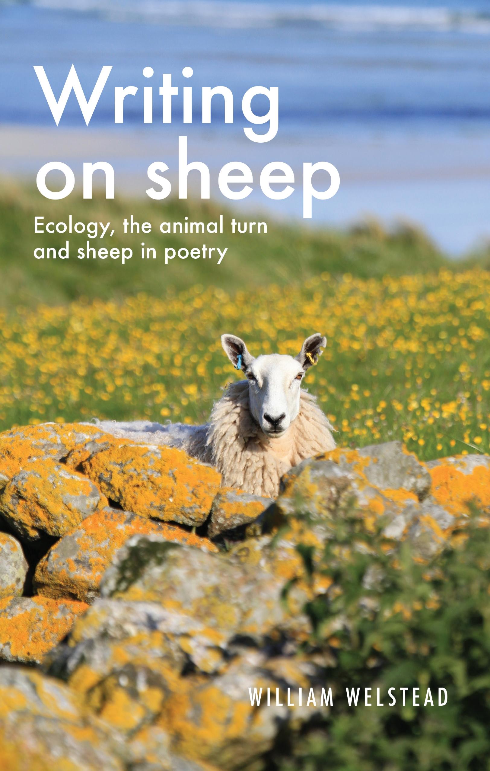 Writing on sheep