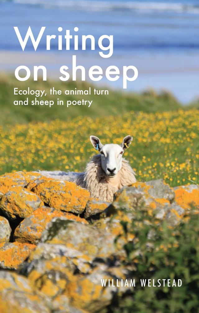 Writing on sheep by William Welstead