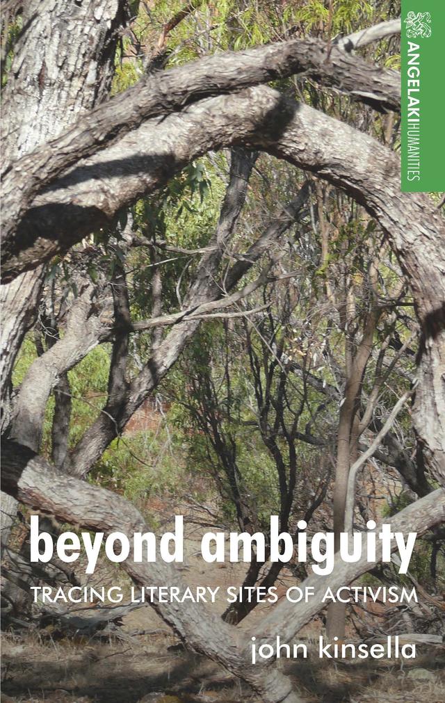 Beyond ambiguity by John Kinsella